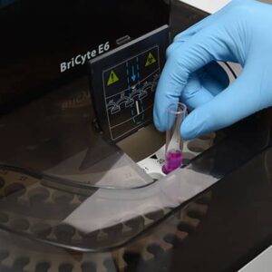 BriCyte-E6
